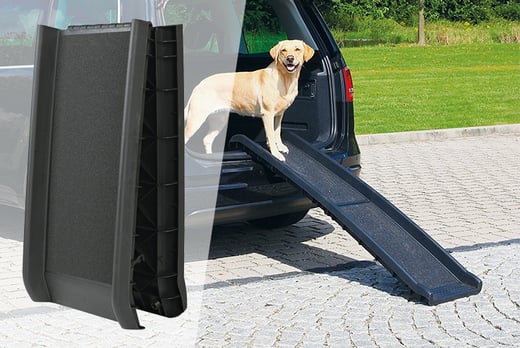 trixie dog ramp