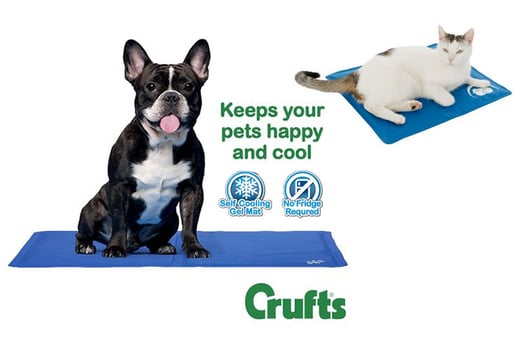 crufts pet cooling mat