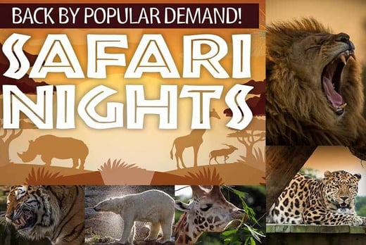 safari nights wowcher