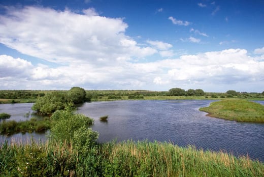 Rspb Old Moor Nature Reserve Entry For 2 - York - Wowcher