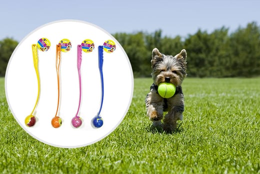 Dog Ball Launcher - Wowcher