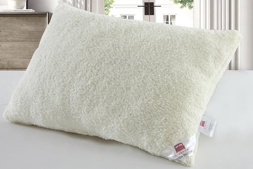 teddy fleece pillow