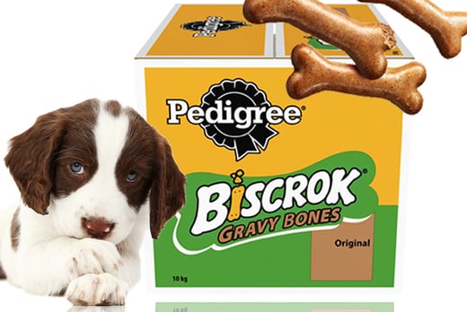 pedigree biscrok gravy bones