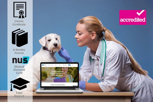 Accredited Online Veterinary Nursing Course - Wowcher