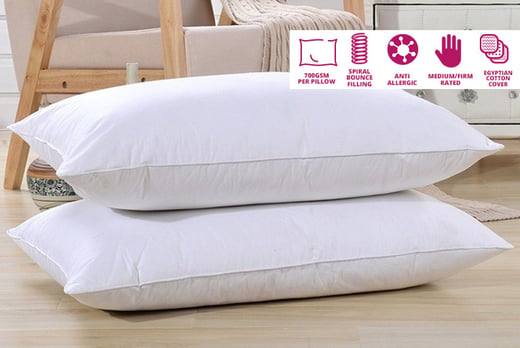 egyptian cotton pillows