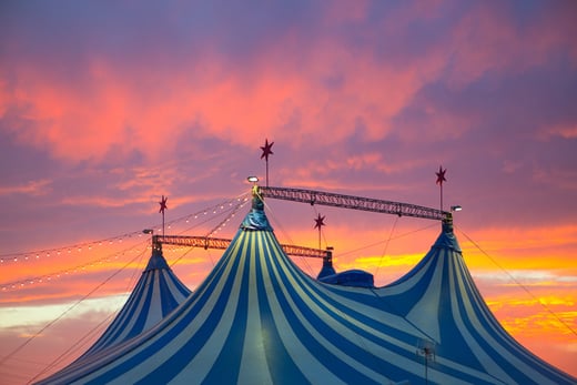 Russells International Circus Tickets | Peterborough