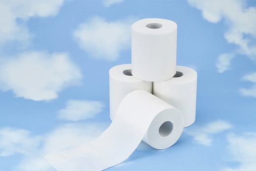 Toilet Roll Home Essentials Shopping Deals Wowcher