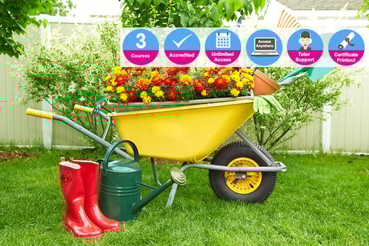 The Complete Gardening Diploma Learning Deals In London