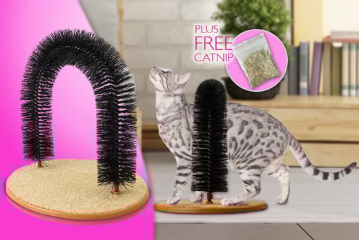 deals cats london