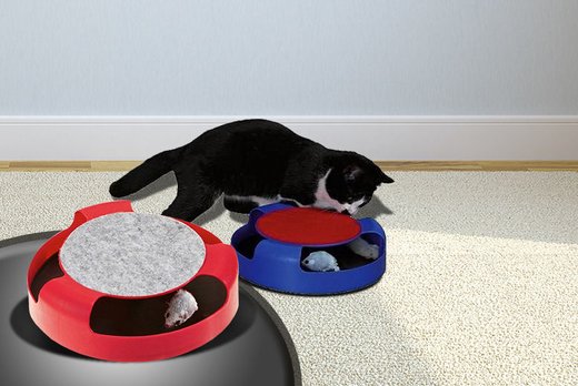 deals cats london